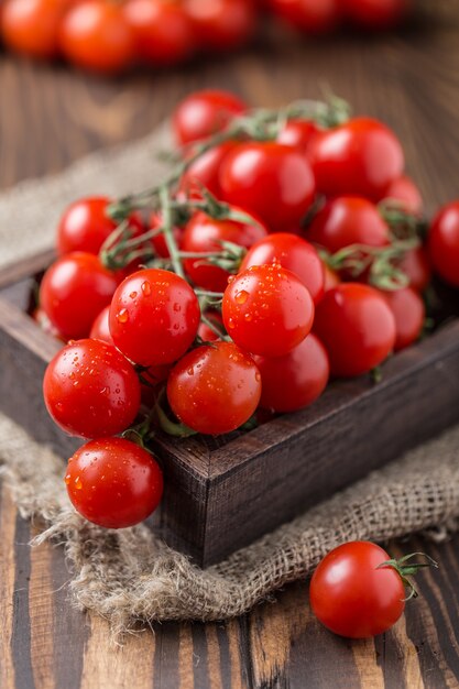 Pequeños tomates cherry rojos. Tomates cherry en una rama