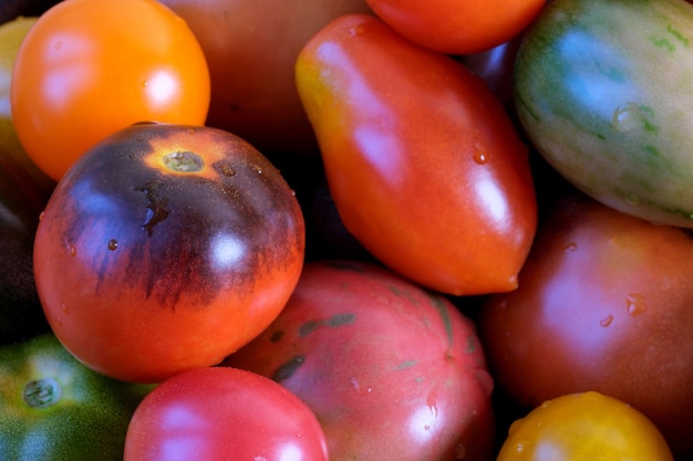 Pequeños tomates maduros multicolores de diferentes variedades se encuentran en una mesa de madera de cerca la fotografía macro