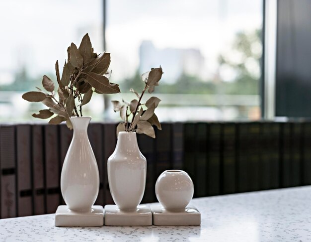 Pequenos vasos brancos de cerâmica com plantas secas em frente a uma fileira de livros e decoração de casa de janela