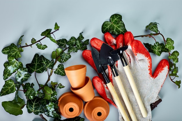 Pequenos vasos de flores de cerâmica luvas ferramentas de jardinagem e folhas verdes