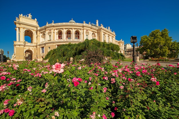 Ópera con jardín de rosas en primer plano en Odessa, Ucrania