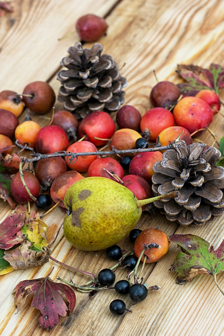 Foto pera de rosa de otoño. cosecha de otoño