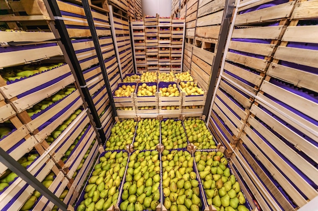 Peras en cajas listas para enviar