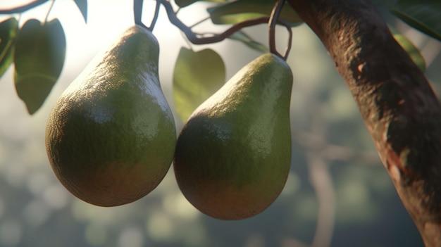 Peras colgando de una rama de árbol