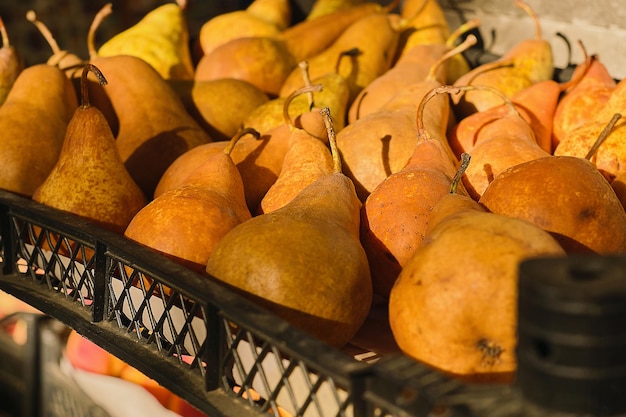 Peras maduras em uma cesta em um mercado de agricultores fundo seletivo Produtos ecológicos sazonais frescos cuidados de saúde Fundo para publicidade