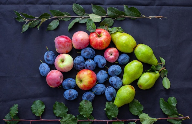 Peras manzanas y ciruelas sobre un fondo negro