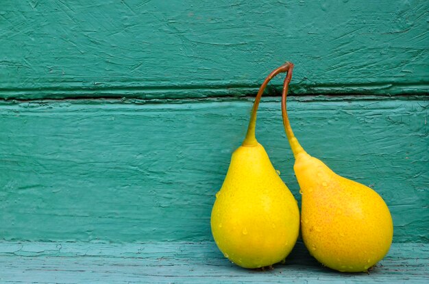 Peras orgánicas maduras frescas sobre un fondo verde azul. Cosecha de otoño, frutas o concepto de jardinería.