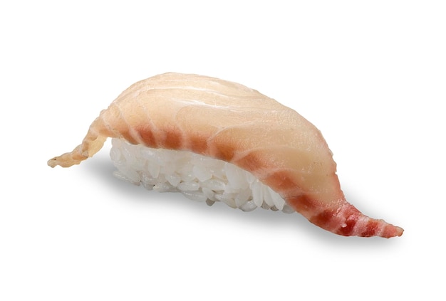 Perca sushi sobre un fondo blanco Nigiri