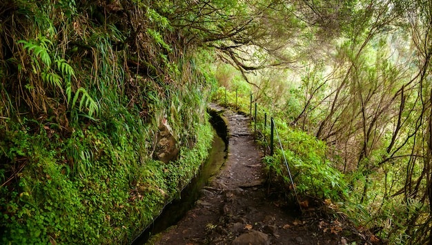 Percurso pedestre na levada