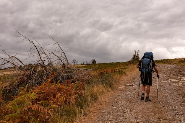 Peregrino caminando por el camino del Camino de Santiago llamado Chemin du Puy Francia