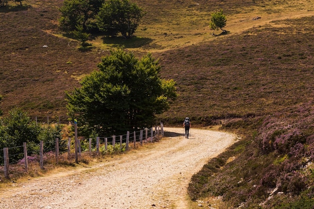 Peregrino por el Camino de Santiago Pirineo Francés