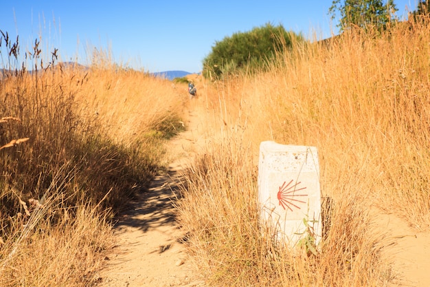 Peregrino en el camino de Santiago