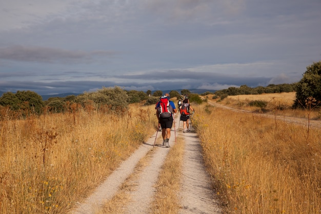 Peregrinos en el camino de Santiago