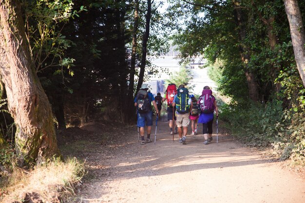 Peregrinos en el camino de Santiago