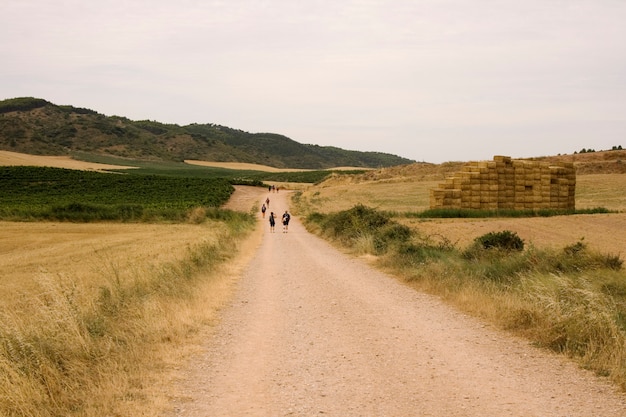 Peregrinos Camino de Santiago