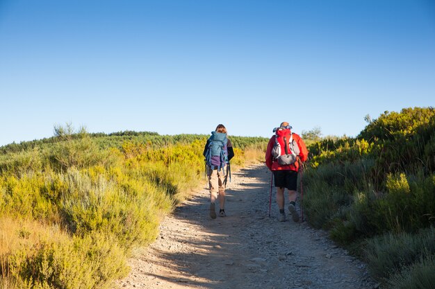 Peregrinos en el camino de Santiago