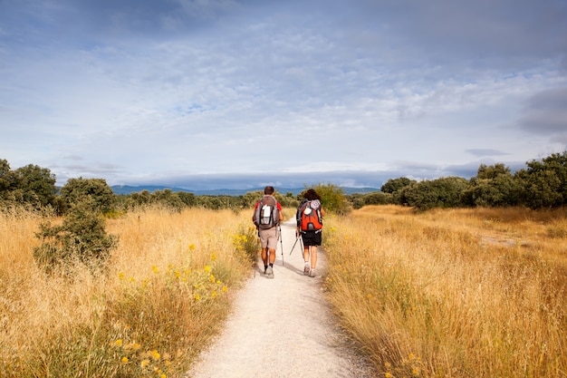 Peregrinos en el camino de Santiago