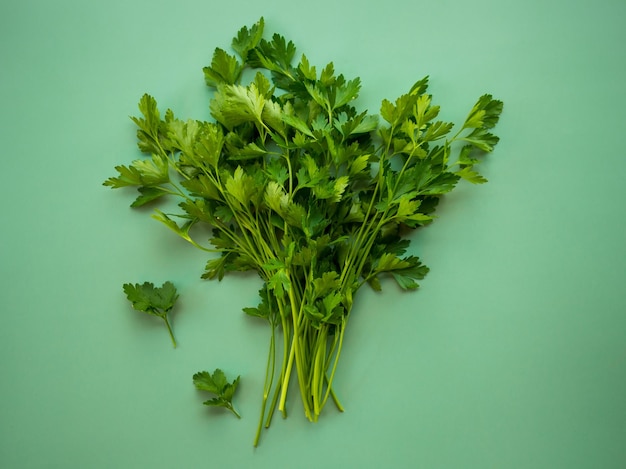 Perejil italiano fresco sobre un perejil de fondo verde