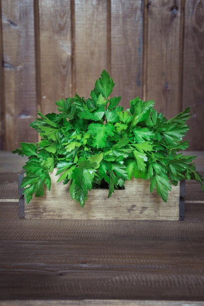 Perejil verde fresco en caja de madera en la madera vieja