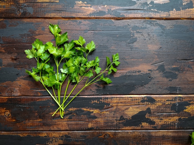 Foto perejil verde fresco, cilantro sobre mesa rústica de madera.