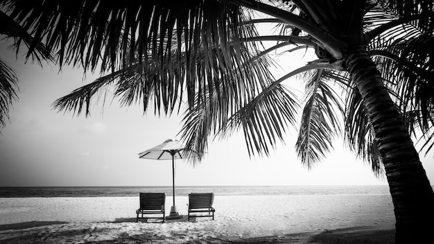 Perfecta escena de playa en blanco y negro. Silueta dramática de palmera de coco, sombrilla de sillas camas