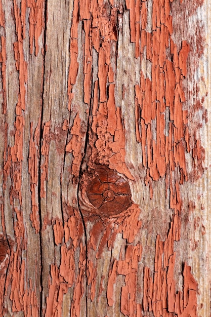Foto perfecta textura de madera vieja con grietas y pintura de color rojo pálido. restos de pintura vieja en la superficie de madera pintada.