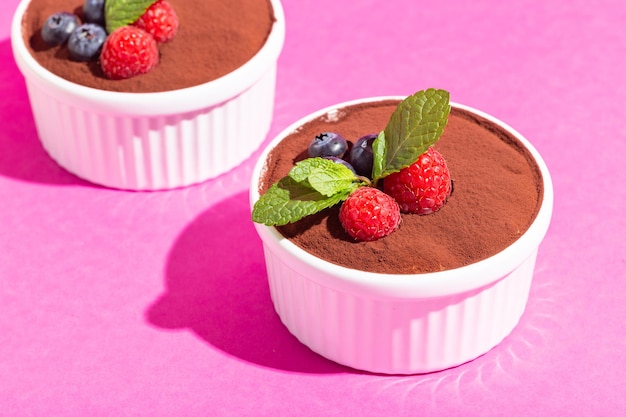 Perfekter hausgemachter Tiramisu-Kuchen mit frischer Minze. Tiramisu-Portion in weißer Platte auf rosafarbenem Hintergrund, harte Schatten. Foto in hoher Qualität