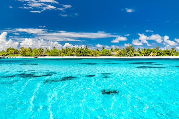 Perfekter Inselstrand der Malediven. Tropische Landschaft mit wunderschönem blauem Meer und weißem Sand und Palmen