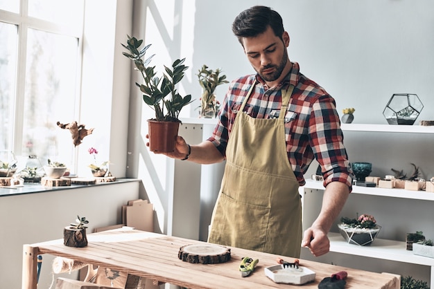 Perfektes Geschenk für jedes Zuhause. Hübscher junger Mann in Schürze mit Topfpflanze