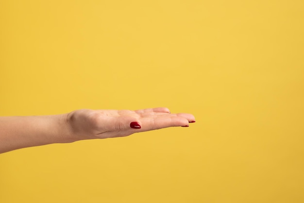 Perfil de vista lateral de primer plano de la mano de la mujer que muestra un espacio vacío en su palma dando o tomando gesto