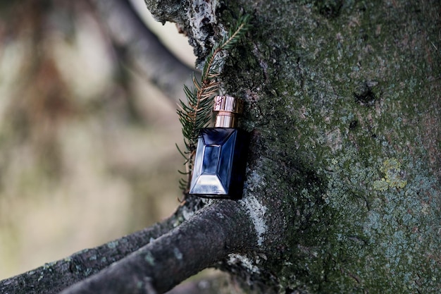 Perfume en un árbol