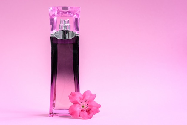 Perfume feminino na garrafa em fundo rosa.