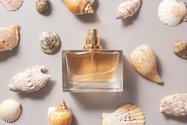 Perfume de mujer en botella transparente de vidrio con conchas marinas sobre un fondo gris claro Concepto de perfumes y cosméticos caros