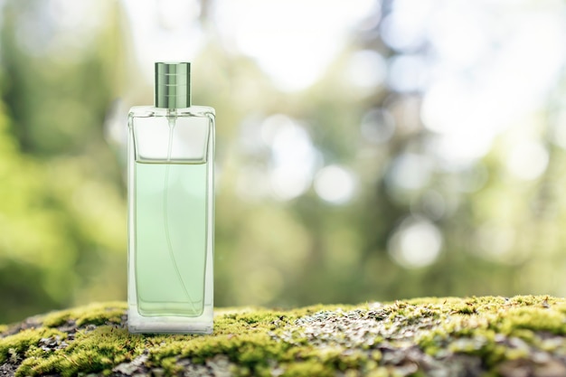 Perfume de vidrio transparente botella verde maqueta en el fondo de un bosque verde se encuentra en una piedra ...