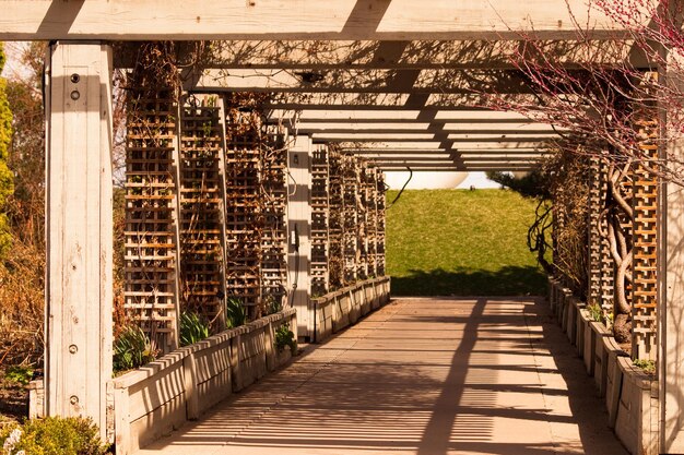 Pergola no jardim.