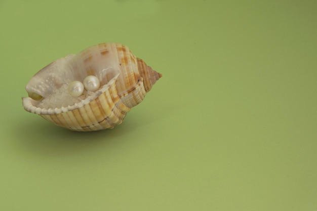 Perlas en conchas marinas sobre un fondo verde