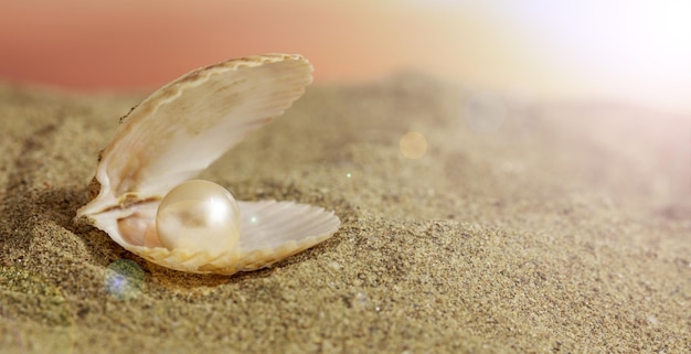 Perle in einer Muschel am Strand