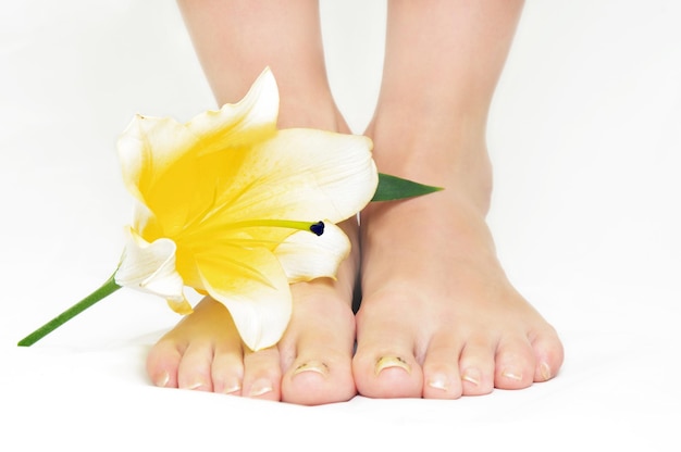 pernas com flores