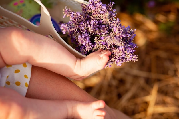 Pernas da menina perto de um buquê de lavanda