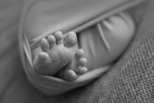 Foto pernas de bebê recém-nascido com mão de mãe isoladas em fundo cinza