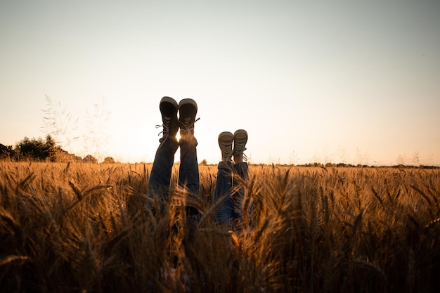 Pernas do casal sobre campo de grãos e céu