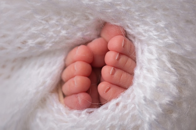 Pernas e dedos dos pés de um recém-nascido em um cobertor branco macio
