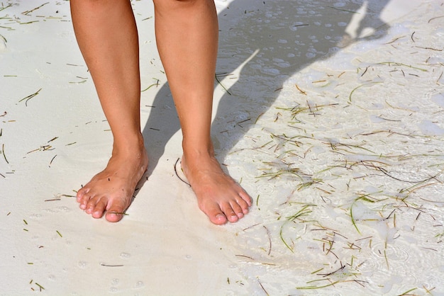 Pernas femininas na praia de areia com algas