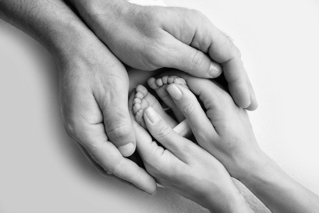 Pernas, pés, pés e calcanhares de um recém-nascido Com as mãos dos pais, o pai e a mãe seguram suavemente as pernas da criança Macro fotografia closeup Foto em preto e branco Foto de alta qualidade