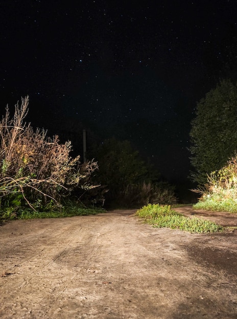 Pernoite em um parque florestal