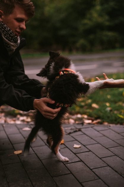 Perrito caminando y jugando en el parque