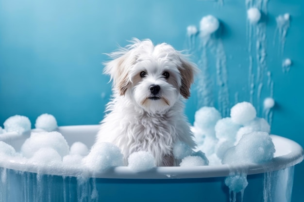 Perrito gracioso sentado en la bañera esperando a ser aseado Banner para la tienda de mascotas salón de aseo IA generativa