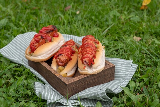 Perritos calientes con mostaza, salsa de tomate en una mesa de picnic