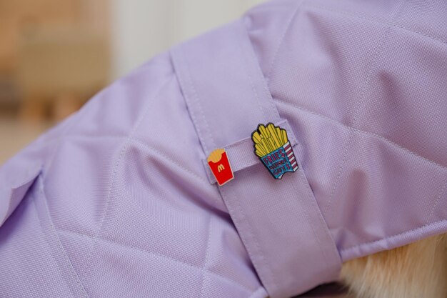 Foto un perro con un abrigo morado con el logo de papas fritas.