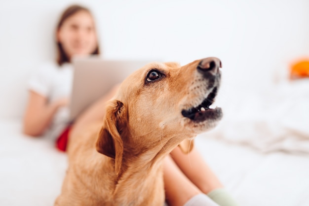 Perro acostado en la cama y ladrando